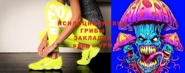 дурь Алзамай