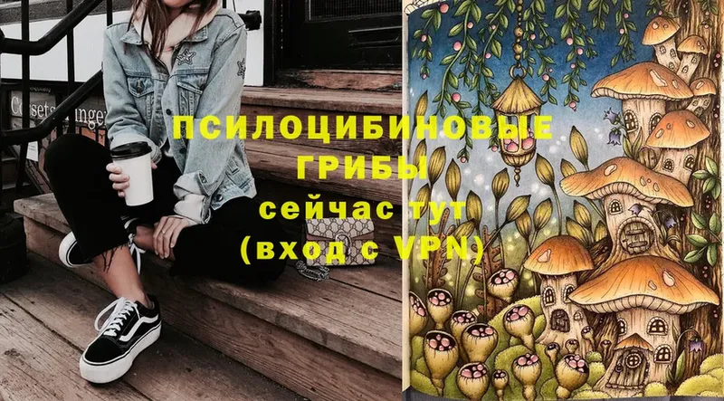 Галлюциногенные грибы Cubensis  мориарти телеграм  Лесной  omg ссылка 