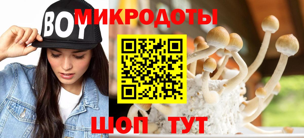 закладки  Псилоцибиновые грибы мухоморы  Лесной  Вход с VPN  Галлюциногенные грибы MAGIC MUSHROOMS 