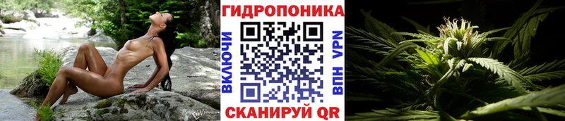 Бошки марихуана конопля где купить наркоту Лесной